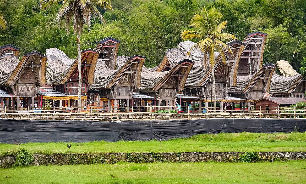 A row of Toraja houses above a green rice field at Kete Kesu