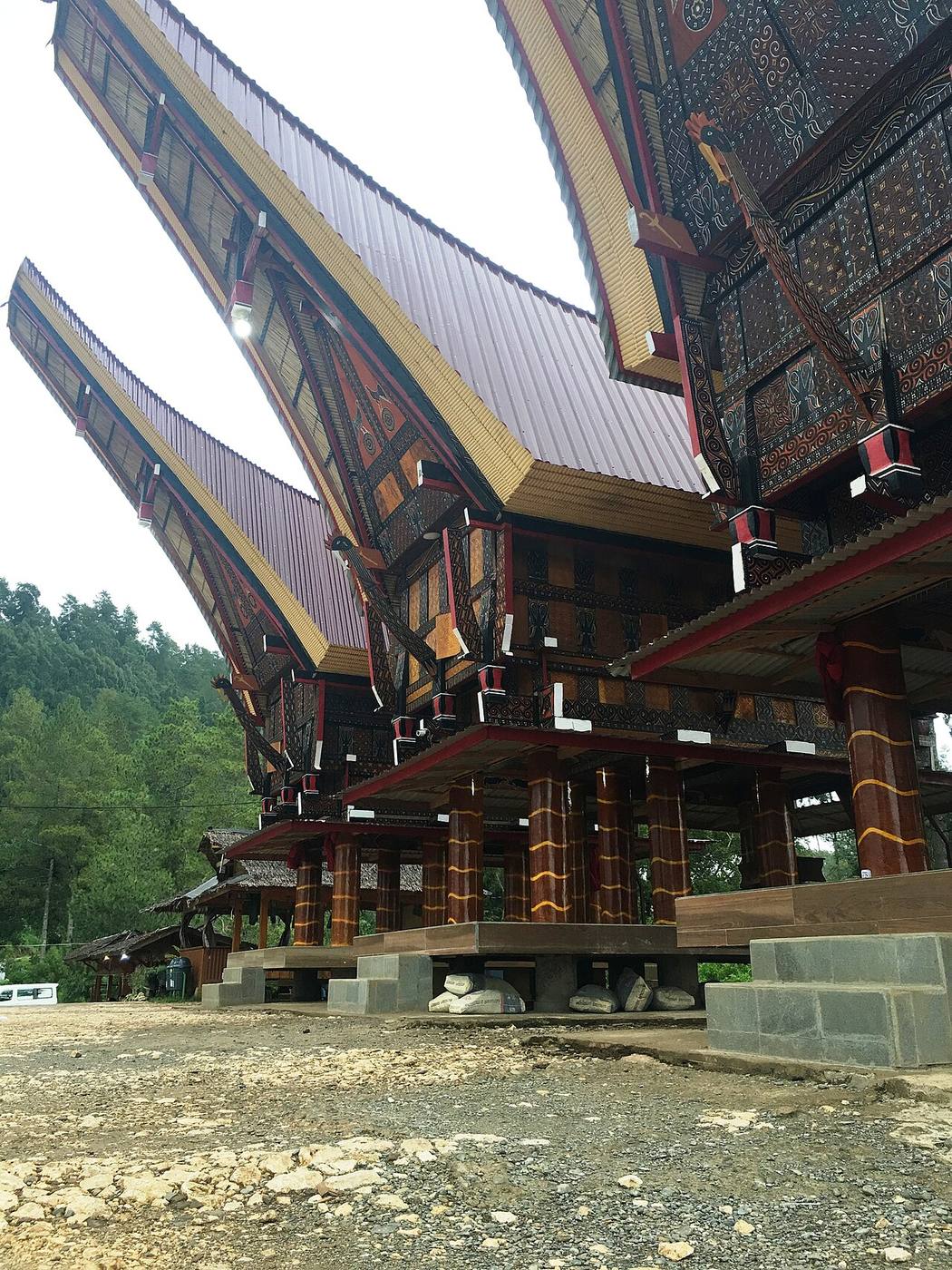 Raised timber buildings and sweeping rooflines in a Toraja village