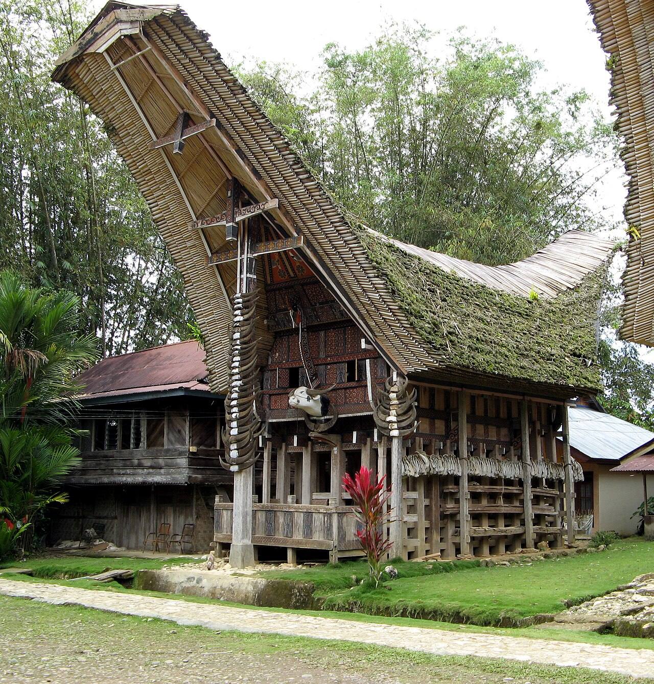 A traditional tongkonan with stacked buffalo horns at Kete Kesu